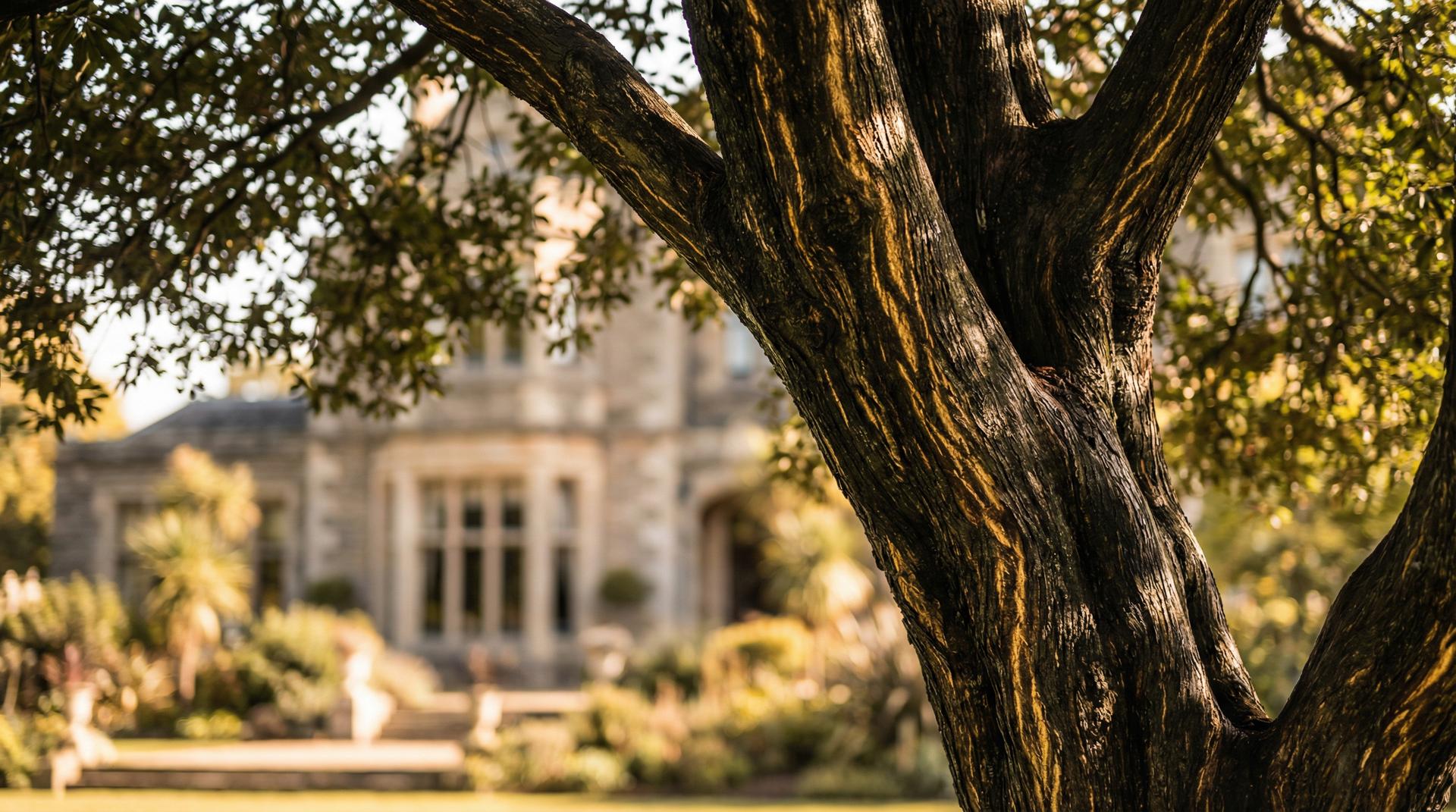 福利姬植物视频展示-珍稀植物